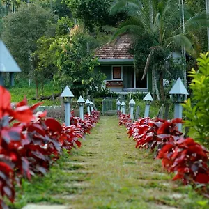 Ayurnest Pool Wayanad Batheri